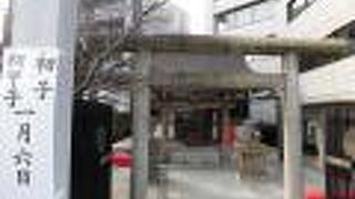 どこかほっとできる空気が漂っていました