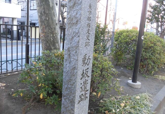 縄文時代の遺跡跡がこんな場所にあって驚きました