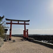 自然の不思議を感じます