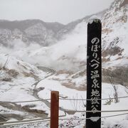 雪景色の地獄谷もいい