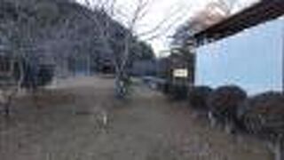 ホームの雰囲気が多い