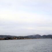 宍道湖観光遊覧船の乗船場がありました。