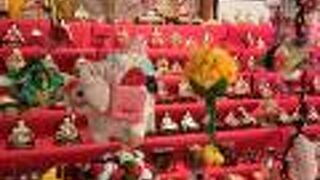 書院からの庭園はほっこり