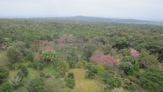 大山植物公園