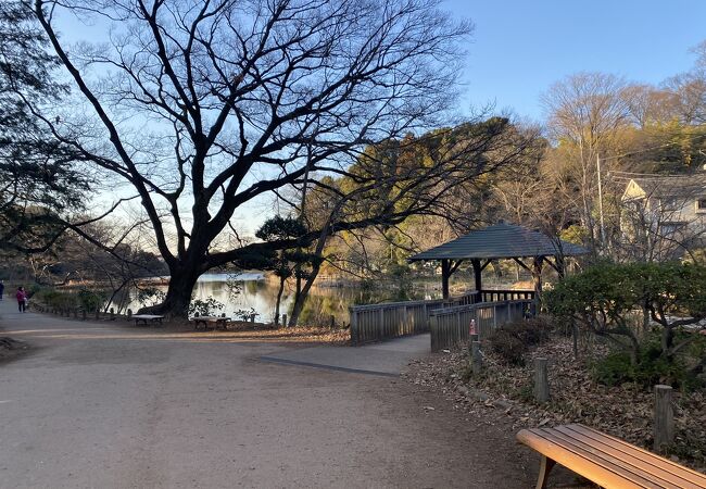 善福寺公園