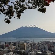 桜島の展望