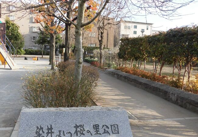 よしの桜の里公園