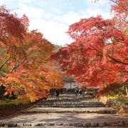 ここの参道の紅葉が見たくて訪問しました。