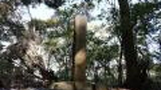 林の中にありました