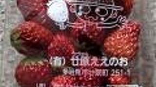 観光農園 廿原ええのお(いちご＆ブルーベリー狩り)