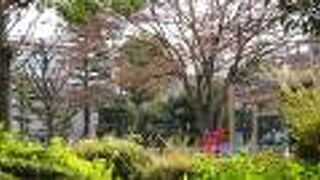 地元の人たちの憩いの公園で、観光公園ではありません。