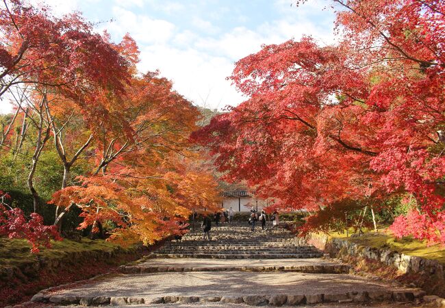 ここの参道の紅葉が見たくて訪問しました。