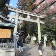 いま、京都で最も人気のある岡崎神社