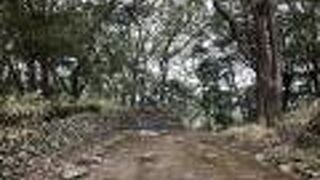 城跡が散策できます