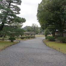 そろそろかな…