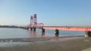 上げ下げも見せてもらえました