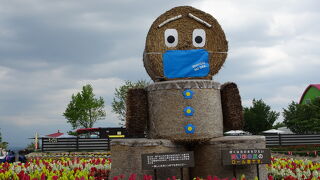 アップダウンのある花畑