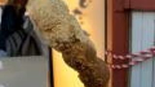 きびだんご屋さん。