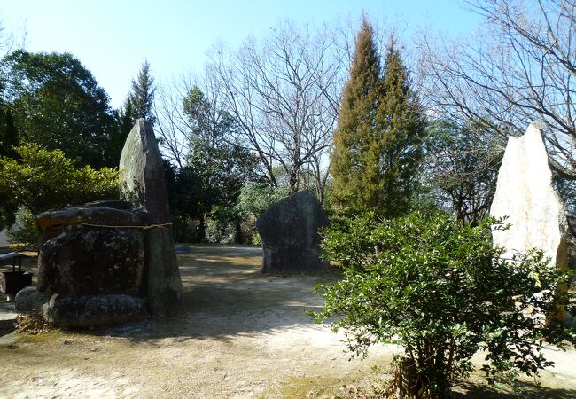 ブラタモリで紹介された楯築遺跡