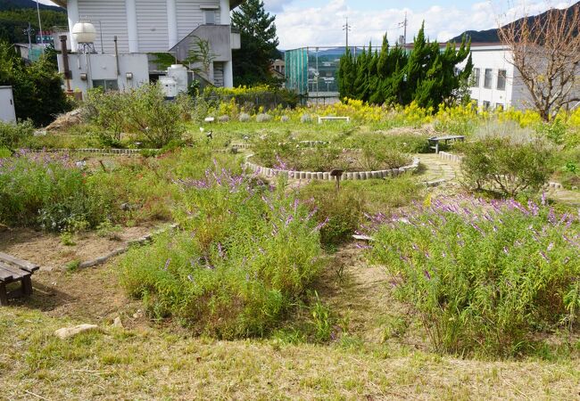 びじゅつかんのハーブ園