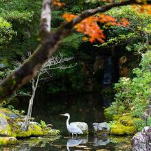 サギのたたずむ池