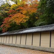 京都御苑の中でも美しい紅葉が待ってました