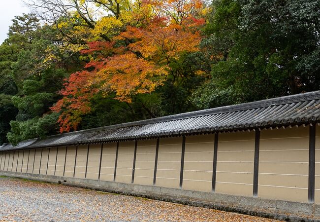 京都御苑の中でも美しい紅葉が待ってました