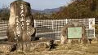 かなり広いのかな