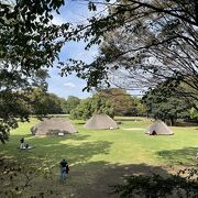 子連れでも楽しく歴史に触れられる公園