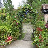 花いっぱいのお庭への入口。