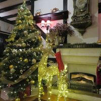 夕方になって戻って来たロビー