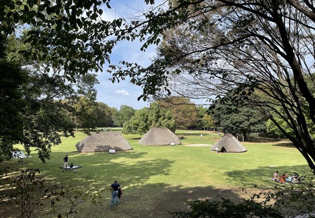 水子貝塚公園 資料館