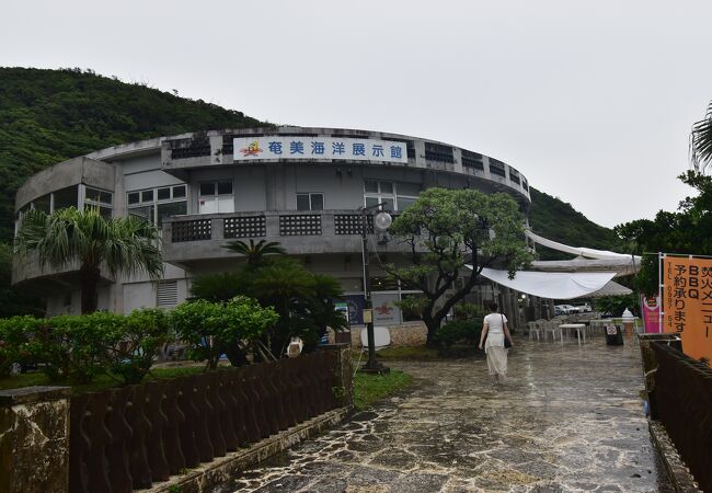 奄美海洋展示館