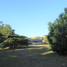 少弐公園キャンプ場