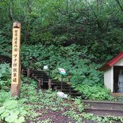 世界遺産エリアを気軽に散策