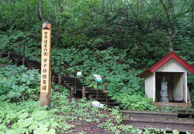 世界遺産エリアを気軽に散策