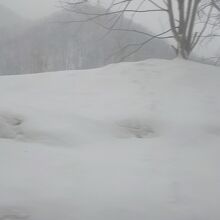 かっぱライナーからの眺め