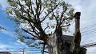 かつてこの辺りまで相模湾が入り込んでいたことを知る