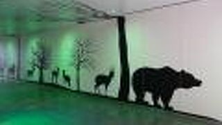 人も少なく作品や光景を堪能できました