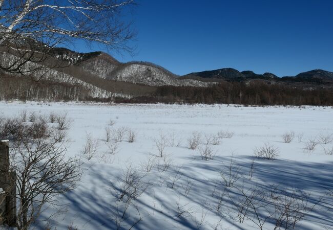 日本画「小田代ヶ原」 奥日光】4K 低公害バス利用で戦場ヶ原〜小田代原〜西ノ湖