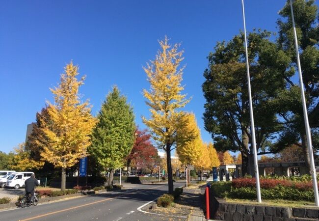 久喜菖蒲公園