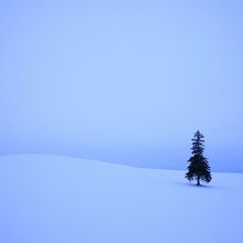 1月の風景