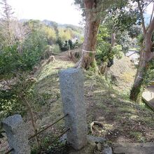 土塁の上に上がるとこんな感じです。