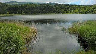 利尻島最大の湖沼