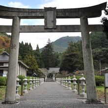 道路沿いの鳥居