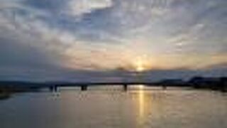 全長310メートル