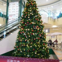 １階　到着フロアーにクリスマスツリー