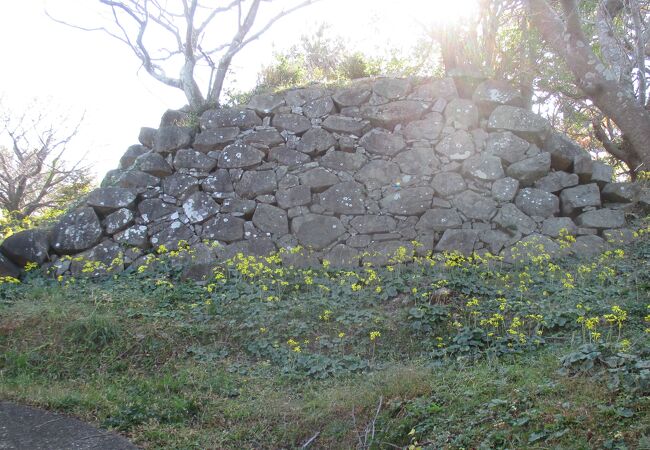 辰ノ島も見えました。