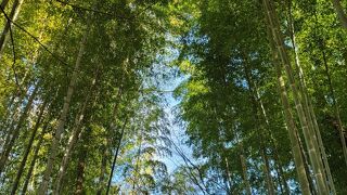 全然広くないので軽い気持ちで行けちゃいます