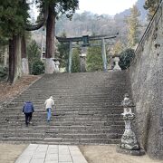 足腰に自信があるうちに